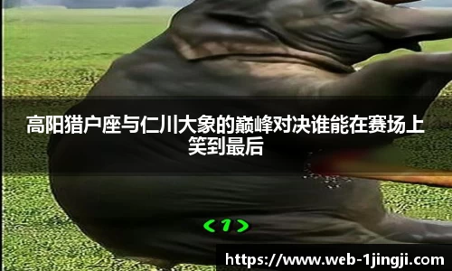 高阳猎户座与仁川大象的巅峰对决谁能在赛场上笑到最后